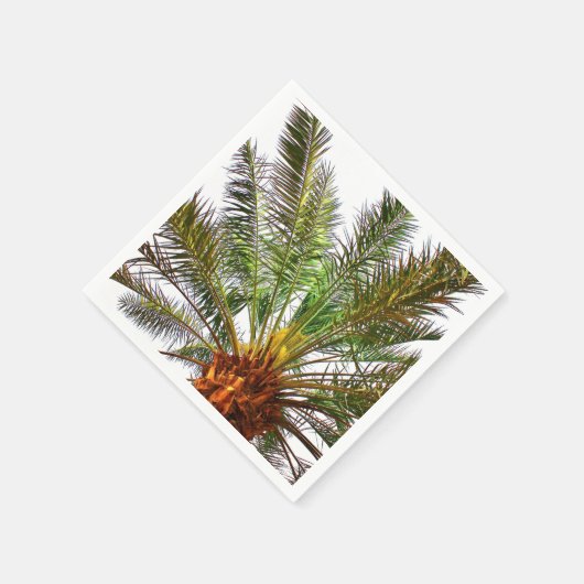 Datumstructuur Servet (Hoek)