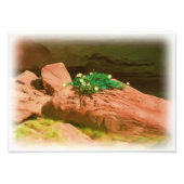 Datura Cavern Foto Afdruk (Voorkant)