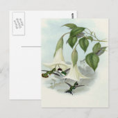 Datura en Hummingbird Briefkaart (Voorkant / Achterkant)