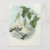 Datura en Hummingbird Briefkaart (Voorkant)