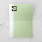 Datura in de ochtend kaart (Binnen)