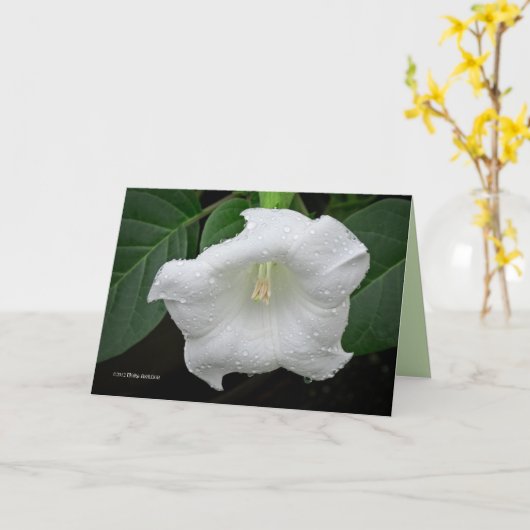 Datura in de ochtend kaart (Gele Bloem)