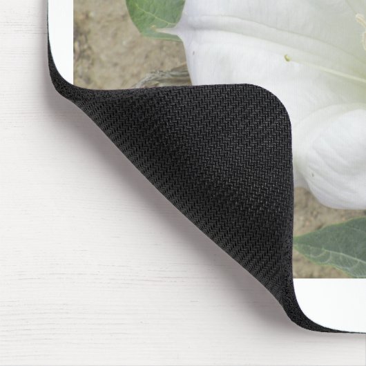 Datura Muismat (Hoek)