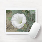 Datura Muismat (Met muis)
