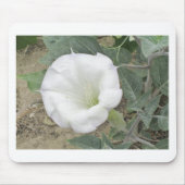 Datura Muismat (Voorkant)