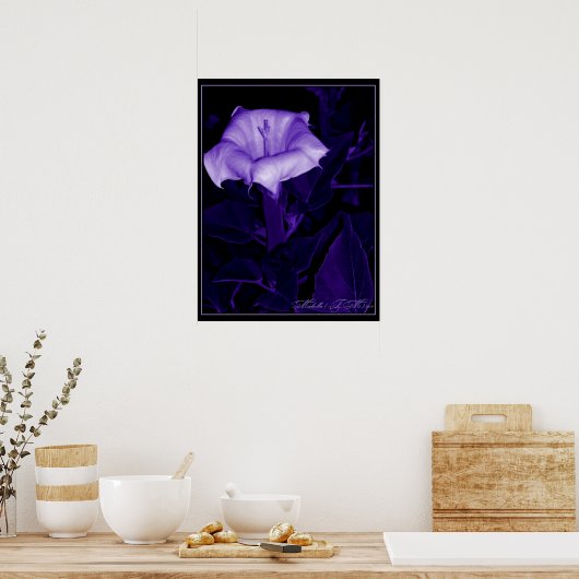 Datura Mystica 3 Poster (Keuken)