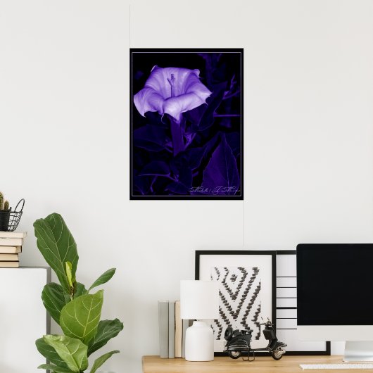Datura Mystica 3 Poster (Thuiskantoor)