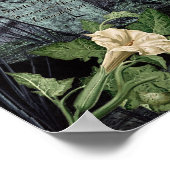 DATURA WITCH'S HERB POSTER (Hoek)