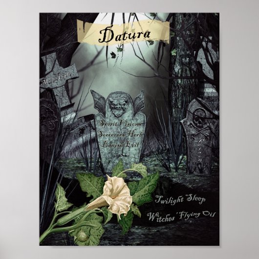DATURA WITCH'S HERB POSTER (Voorkant)