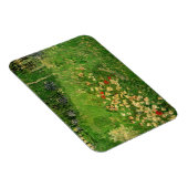 Daubigny's Garden van Vincent van Gogh, Le Jardin Magneet (Rechterzijde)