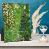 Daubigny's tuin. Vincent van Gogh, mooi Fotoplaat (Zijkant)