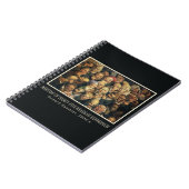 Daumier's Expressions notitieboek (Linkerzijde)