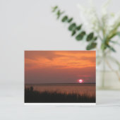 Dauphin Island, Al Sunset Briefkaart (Staand voorkant)