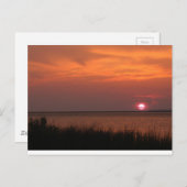 Dauphin Island, Al Sunset Briefkaart (Voorkant / Achterkant)
