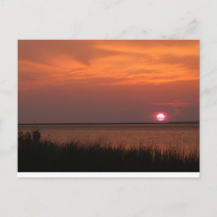 Dauphin Island, AL Sunset Briefkaart