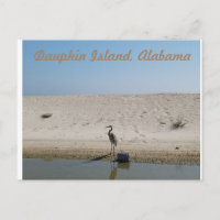 Dauphin Island, Alabama met Blue Heron Briefkaart