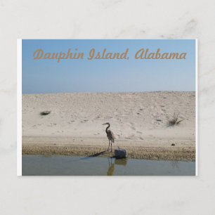 Dauphin Island, Alabama met Blue Heron Briefkaart