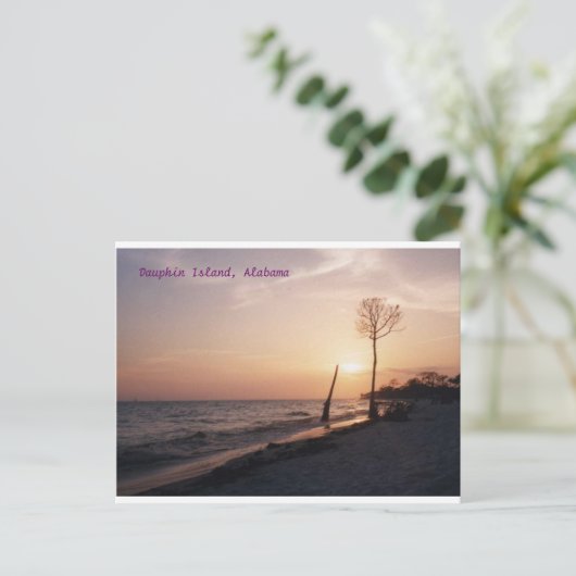 Dauphin Island Briefkaart (Staand voorkant)