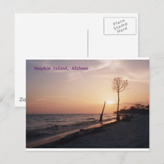Dauphin Island Briefkaart (Voorkant / Achterkant)