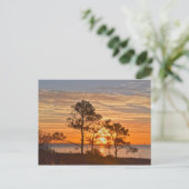 Dauphin Island Refuge Sunrise, Alabama Briefkaart (Staand voorkant)