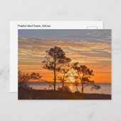 Dauphin Island Refuge Sunrise, Alabama Briefkaart (Voorkant / Achterkant)