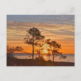 Dauphin Island Refuge Sunrise, Alabama Briefkaart