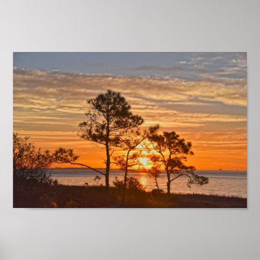 Dauphin Island Refuge Sunrise, Alabama Poster (Voorkant)