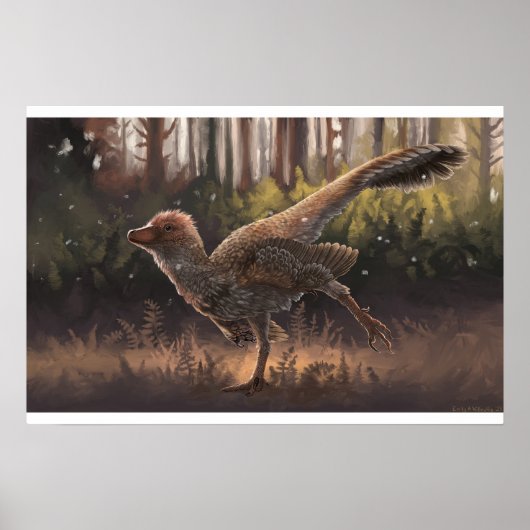Daurlong Print (Voorkant)