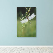 Dauw bedekte Darner Libel Canvas Afdruk (Insitu (Houten vloer))
