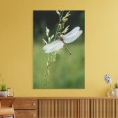 Dauw bedekte Darner Libel Canvas Afdruk (Insitu (Woonkamer))