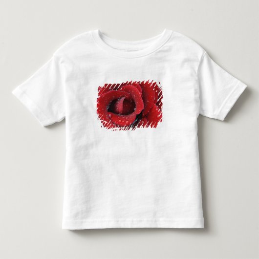 Dauw bedekte rode roos versiert grafsite in kinder shirts (Voorkant)