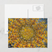 Dauw druppel reflectie van bloem, Crescent City, Briefkaart (Voorkant / Achterkant)