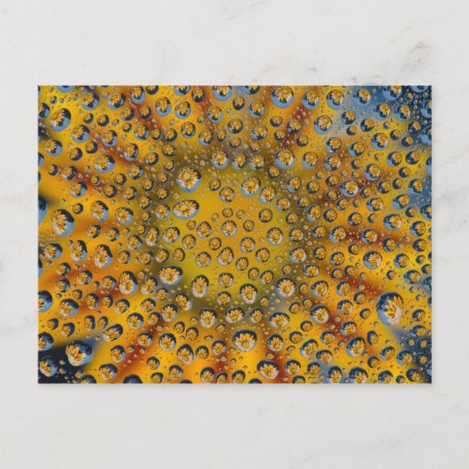 Dauw druppel reflectie van bloem, Crescent City, Briefkaart (Voorkant)