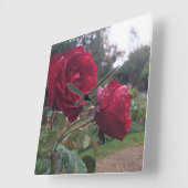 Dauw druppel Rozen Vierkante Klok (Hoek)
