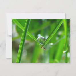 Dauw druppels hand in hand Mooie natuur Briefkaart