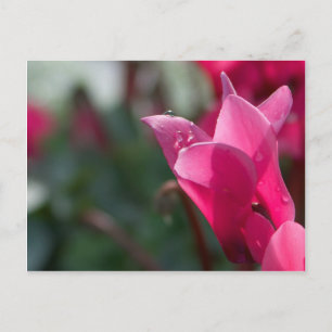 dauw druppels op bloem ansichtkaart briefkaart