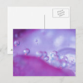 Dauw druppels op bloemblad abstract. briefkaart (Voorkant / Achterkant)