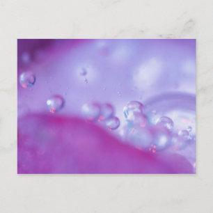 Dauw druppels op bloemblad abstract. briefkaart