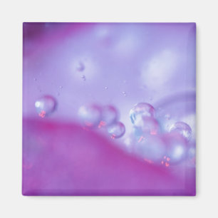 Dauw druppels op bloemblad abstract. magneet