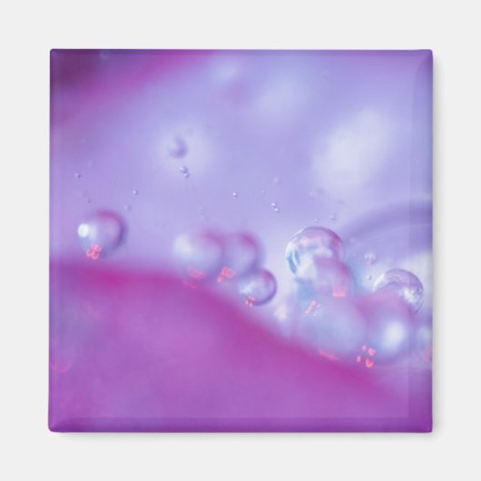 Dauw druppels op bloemblad abstract. magneet (Voorkant)