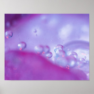 Dauw druppels op bloemblad abstract. poster