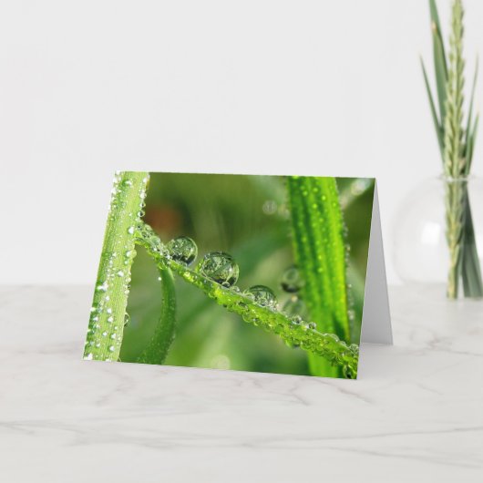 Dauw druppels op groen gras Poëzie van de natuur Kaart (Voorkant)