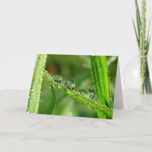 Dauw druppels op groen gras Poëzie van de natuur Kaart