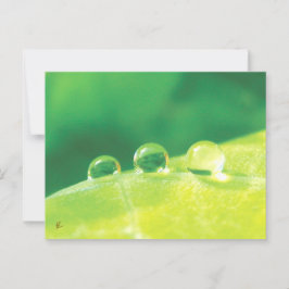 Dauw druppels op groene blad verhaal in de natuur briefkaart