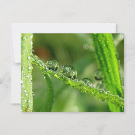 Dauw druppels water glijbaan speelse natuur briefkaart