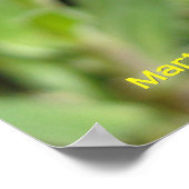 Dauw op een gele daisy poster (Hoek)