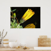 Dauw op een gele daisy poster (Keuken)