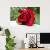 Dauw op een rode rozenprint - Selecteer uw Lijst Poster (Thuiskantoor)