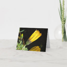 Dauw op een Yellow Daisy - Note Kaart