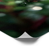 Dauw Roos Luxe Macro Bloei Poster (Hoek)